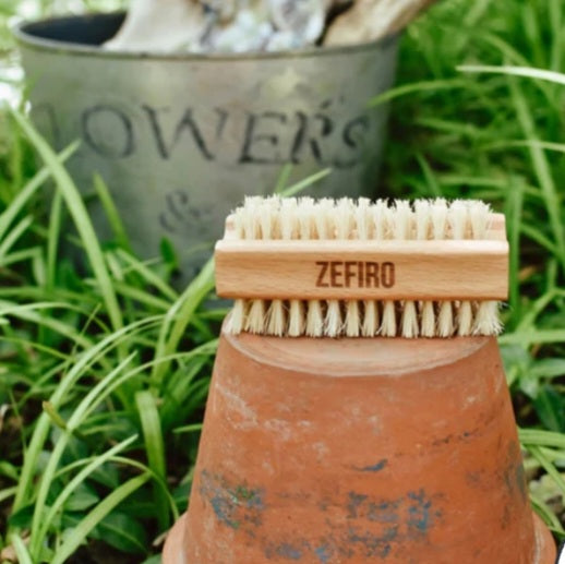 Zefiro