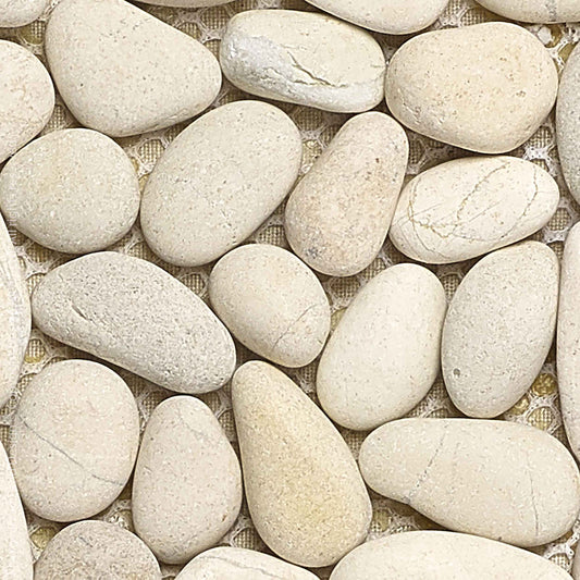 TH Beachstone Coasters (set of 4)