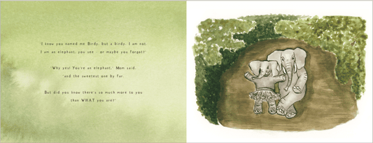 MB Birdy Brave Book