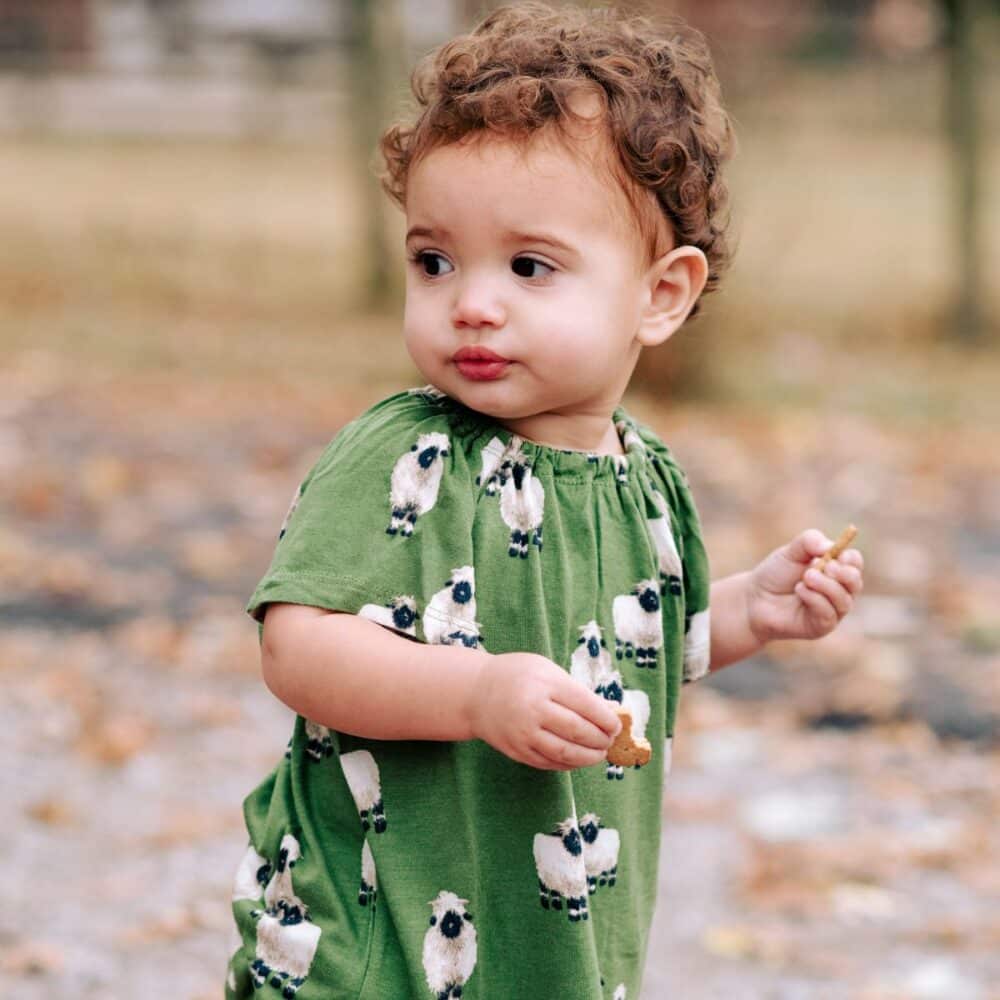 Valais Sheep Bamboo Dress & Bloomer