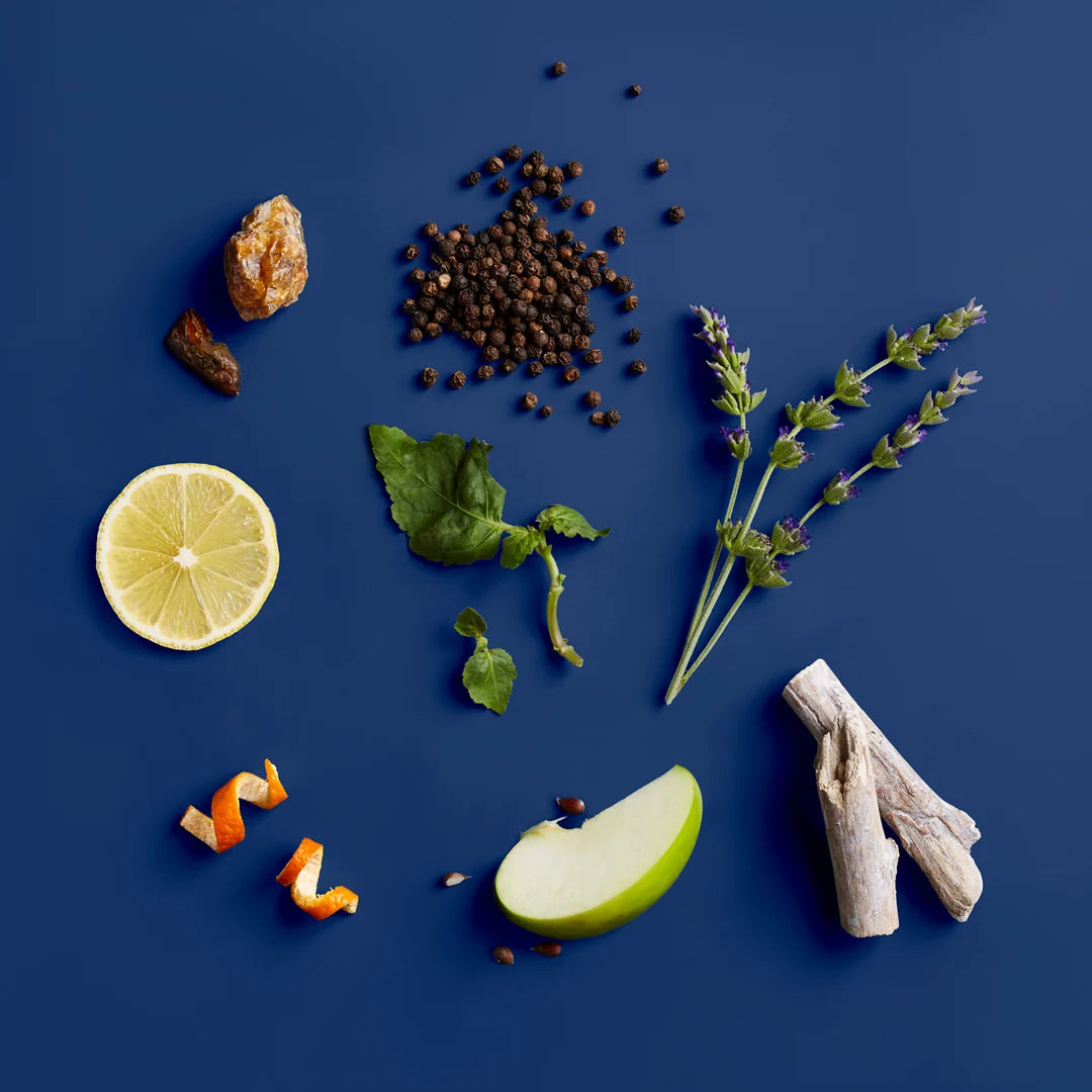 Blue Midnight LE Hair & Body Wash