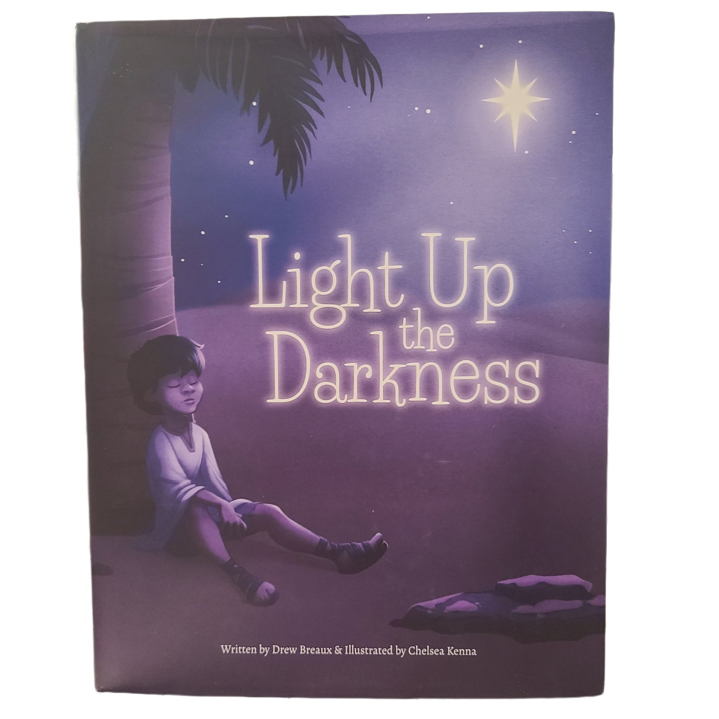 Light Up the Darkness Book