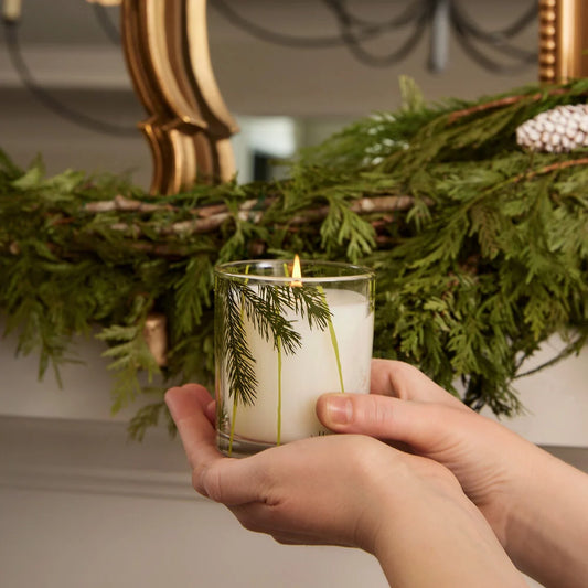 Fraiser Fir Pine Needle Votive 6.5 oz