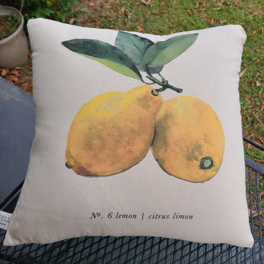 Lemons Color Pillow
