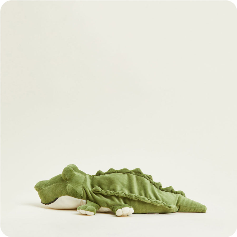 Alligator