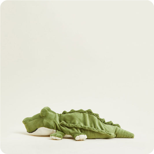 Alligator