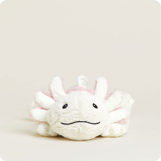 Axolotl