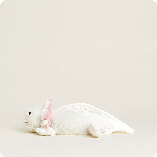 Axolotl