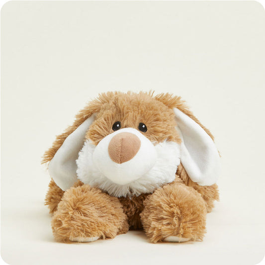 Brown Bunny