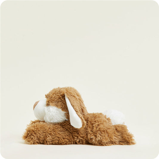 Brown Bunny