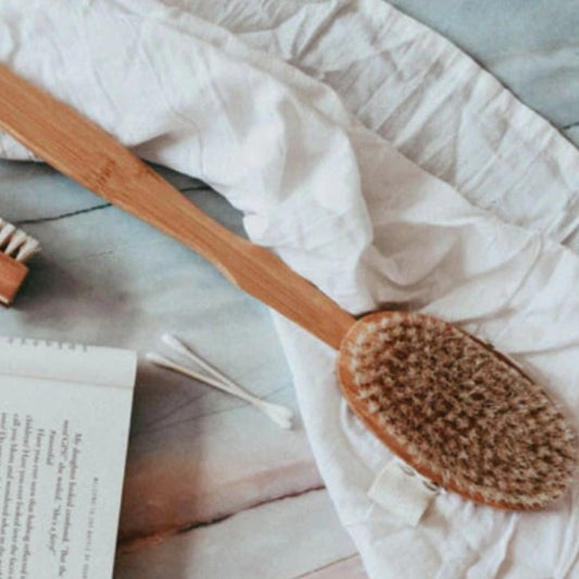 Zefiro Dry/Wet Long Handle Body Brush