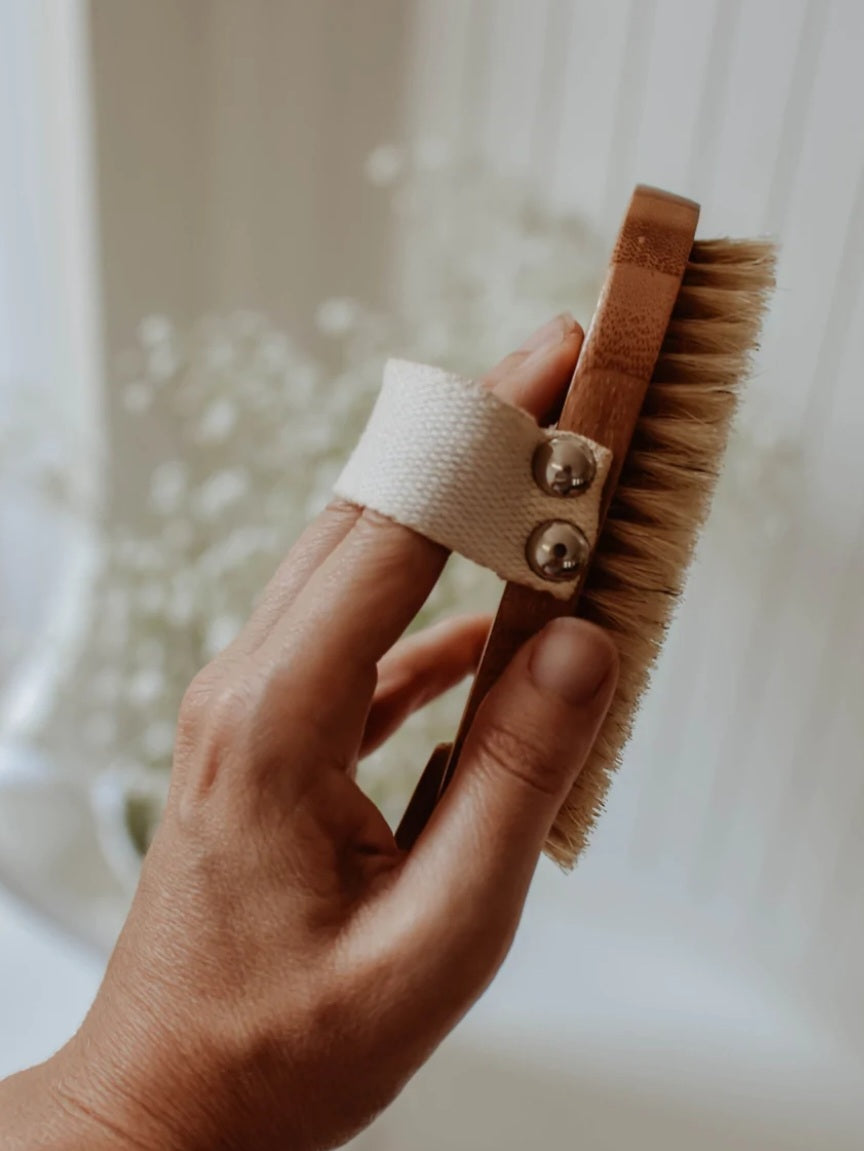Zefiro Dry/Wet Long Handle Body Brush