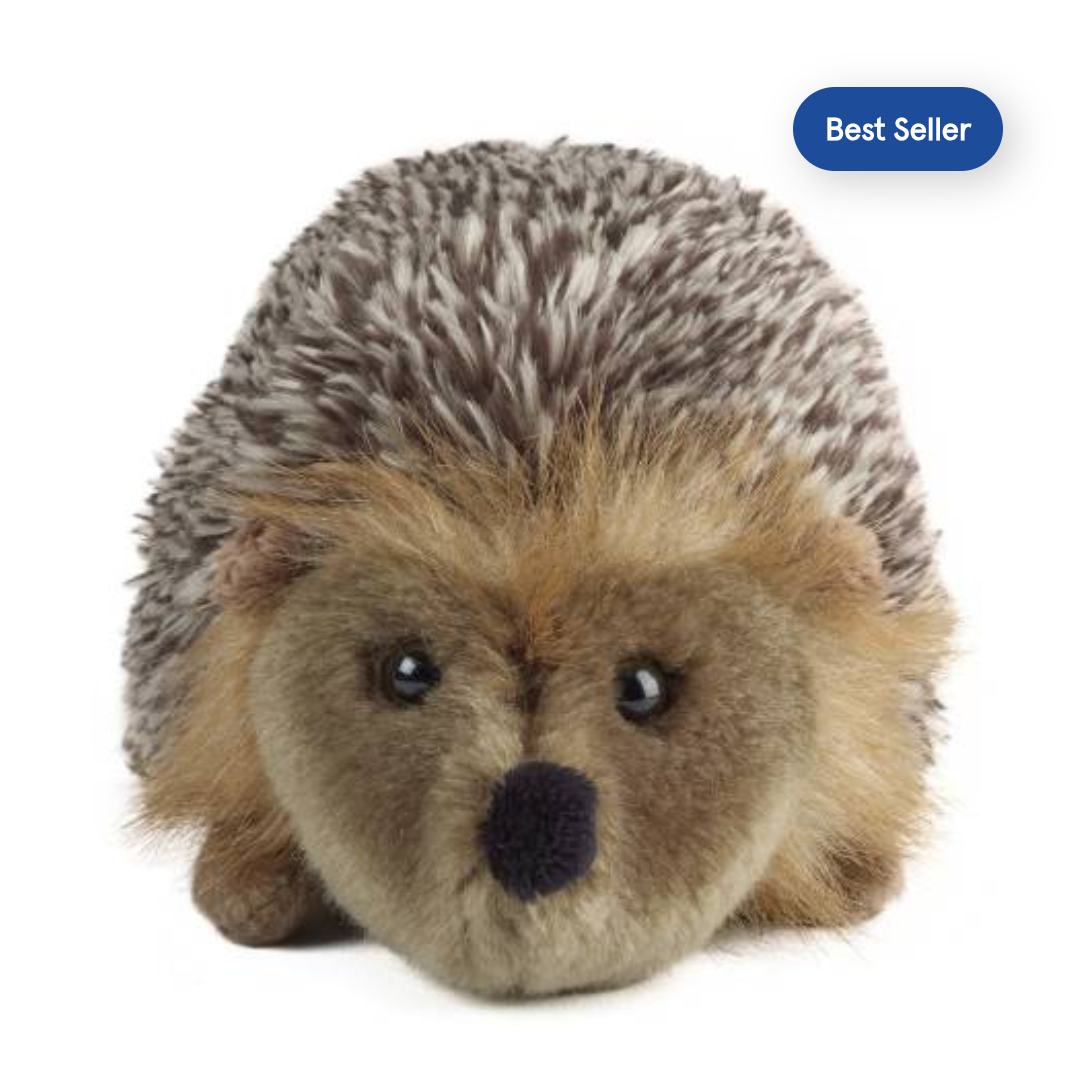 Hedgehog (Large)